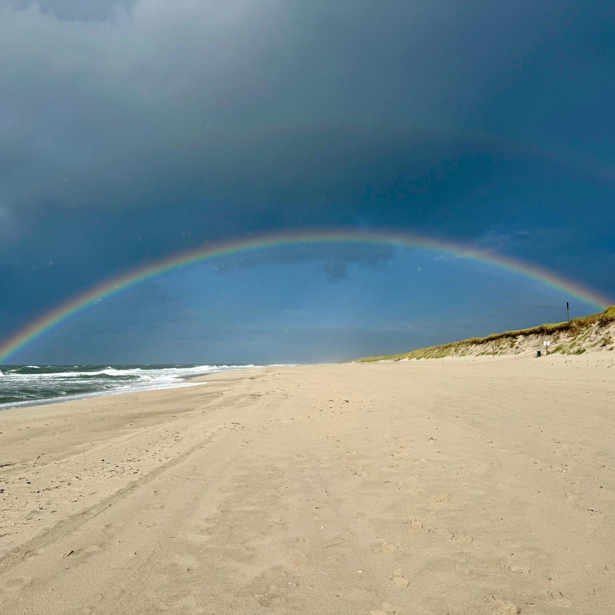 Bild Herbst 2025 Bild Herbst 2025